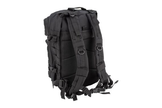 PAGS-30-01530-BLK_01